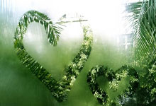 2022年亚冠直播该去哪里看？赛事亮点和观赛指南都在这里！