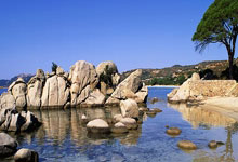 球探体育比分app在哪里可以安全下载？